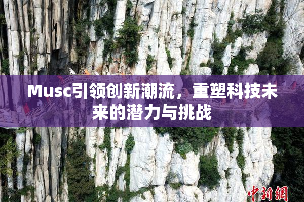Musc引领创新潮流，重塑科技未来的潜力与挑战
