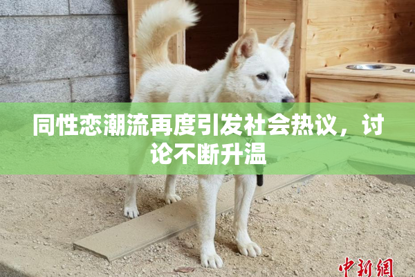 同性恋潮流再度引发社会热议，讨论不断升温