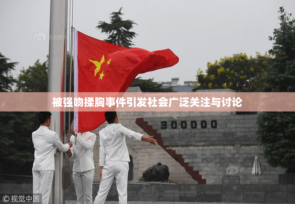 被强吻揉胸事件引发社会广泛关注与讨论