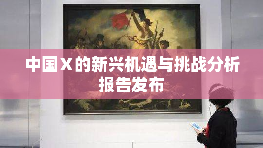 中国Ⅹ的新兴机遇与挑战分析报告发布