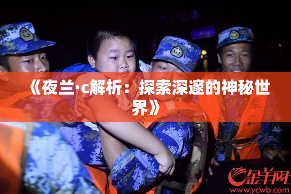 《夜兰·c解析：探索深邃的神秘世界》