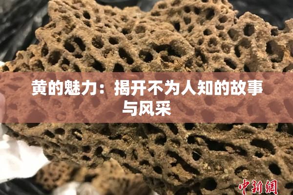黄的魅力：揭开不为人知的故事与风采