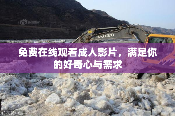 免费在线观看成人影片，满足你的好奇心与需求