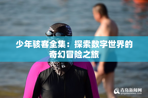 少年骇客全集：探索数字世界的奇幻冒险之旅
