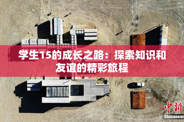 学生15的成长之路：探索知识和友谊的精彩旅程