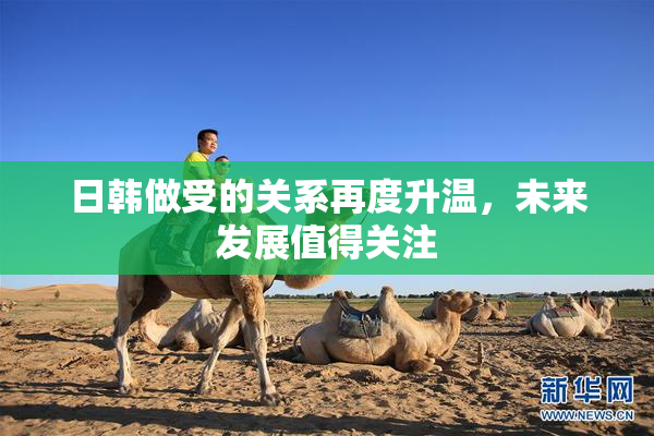 日韩做受的关系再度升温，未来发展值得关注