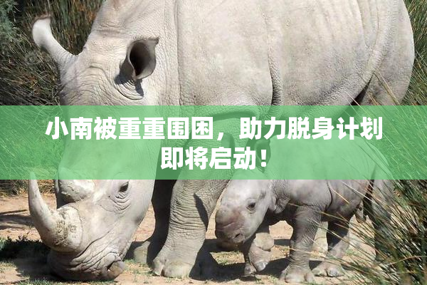 小南被重重围困，助力脱身计划即将启动！