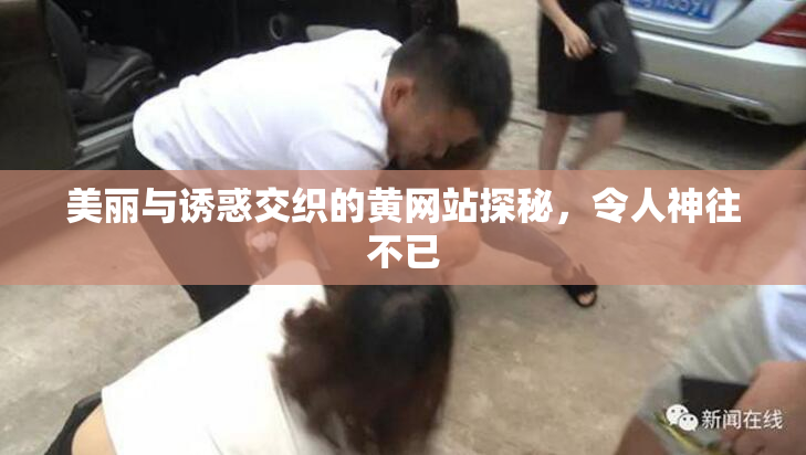 美丽与诱惑交织的黄网站探秘，令人神往不已