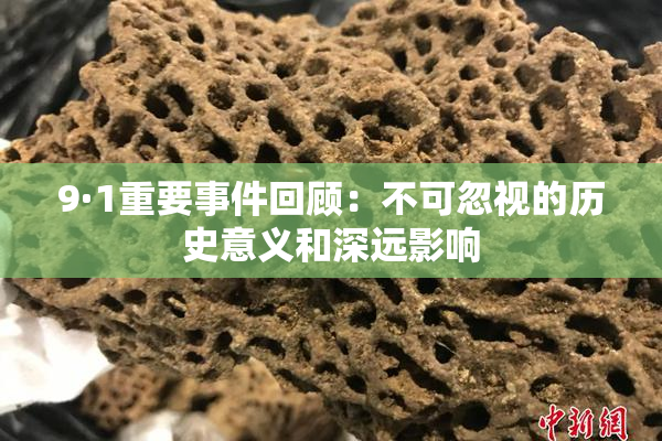 9·1重要事件回顾：不可忽视的历史意义和深远影响
