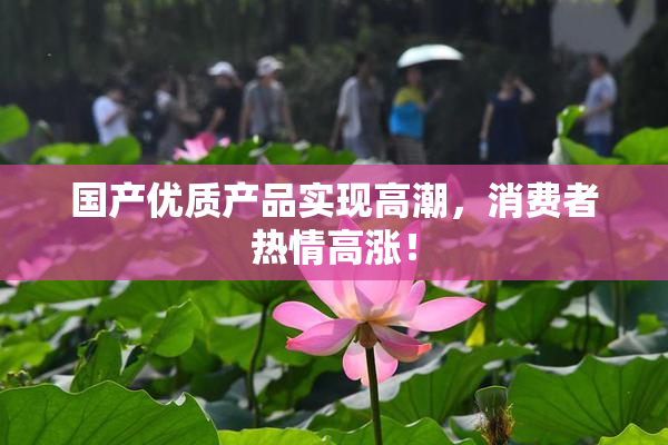 国产优质产品实现高潮，消费者热情高涨！
