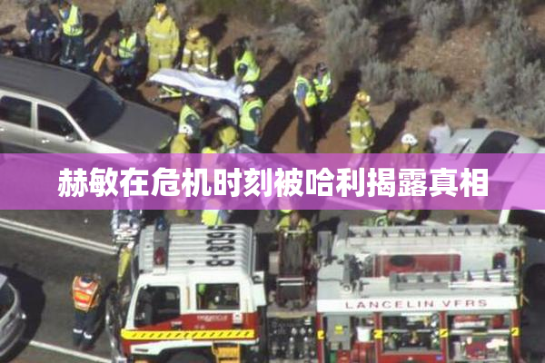 赫敏在危机时刻被哈利揭露真相