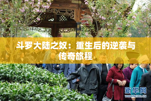 斗罗大陆之奴：重生后的逆袭与传奇旅程