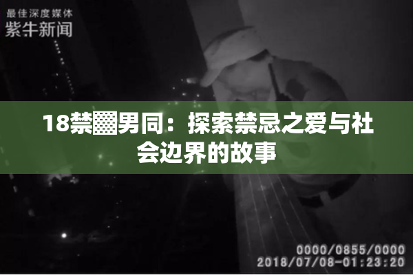 18禁▓男同：探索禁忌之爱与社会边界的故事