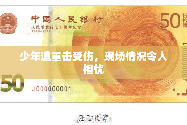 少年遭重击受伤，现场情况令人担忧