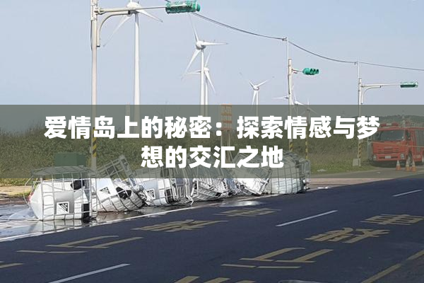 爱情岛上的秘密：探索情感与梦想的交汇之地