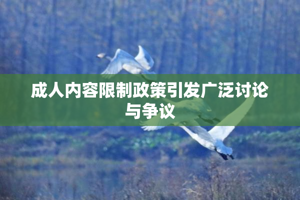成人内容限制政策引发广泛讨论与争议