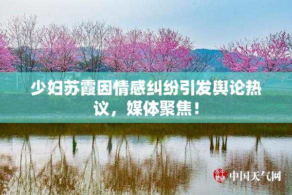 少妇苏霞因情感纠纷引发舆论热议，媒体聚焦！