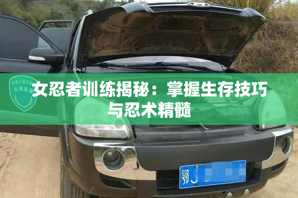 女忍者训练揭秘：掌握生存技巧与忍术精髓