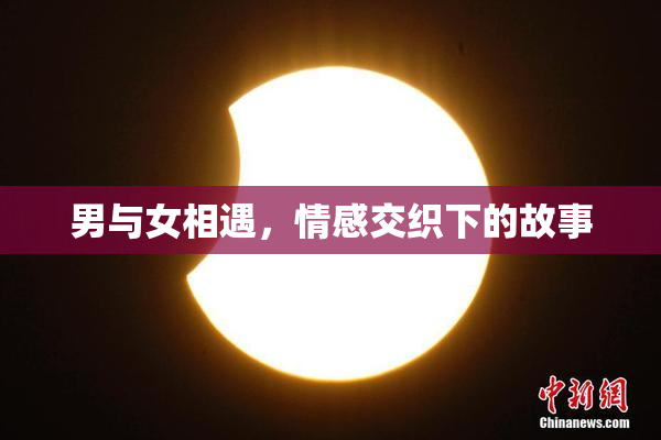 男与女相遇，情感交织下的故事