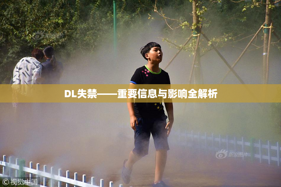 DL失禁——重要信息与影响全解析