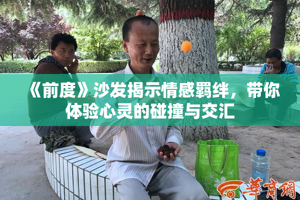 《前度》沙发揭示情感羁绊，带你体验心灵的碰撞与交汇