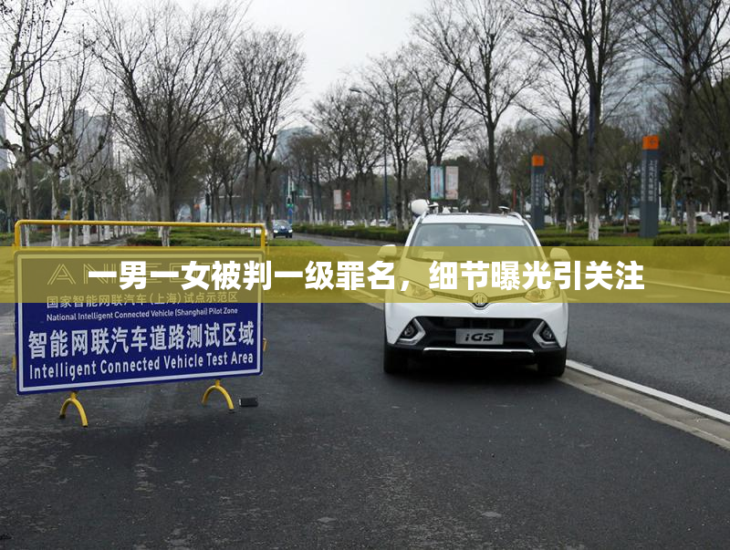 一男一女被判一级罪名，细节曝光引关注