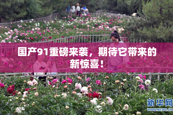 国产91重磅来袭，期待它带来的新惊喜！