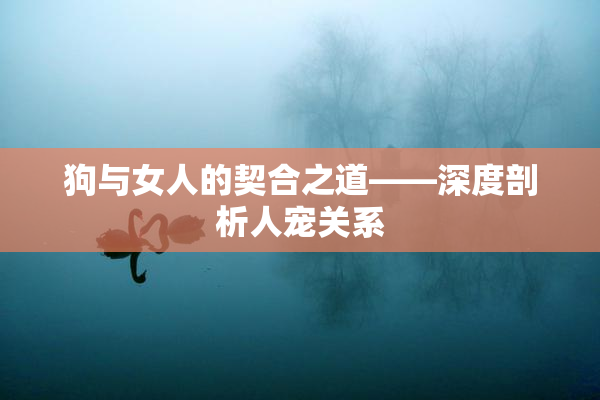 狗与女人的契合之道——深度剖析人宠关系