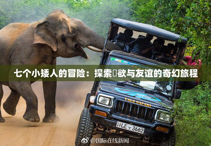 七个小矮人的冒险：探索婬欲与友谊的奇幻旅程