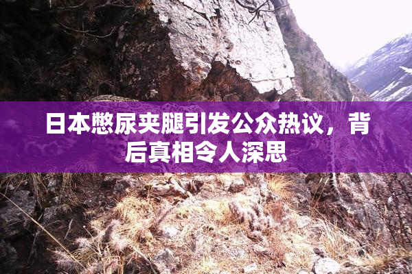 日本憋尿夹腿引发公众热议，背后真相令人深思