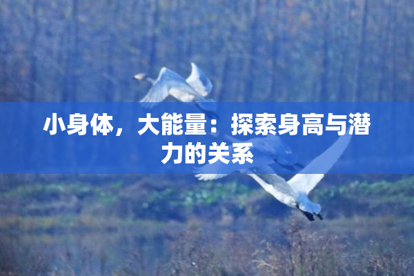 小身体，大能量：探索身高与潜力的关系