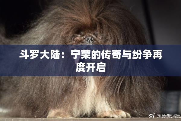 斗罗大陆：宁荣的传奇与纷争再度开启