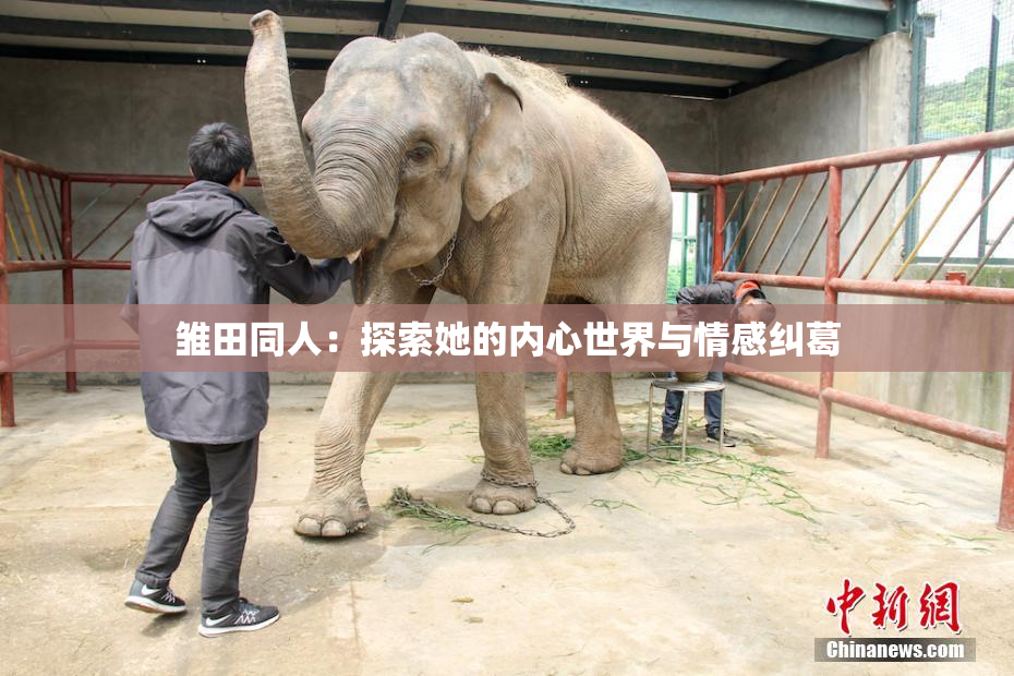 雏田同人：探索她的内心世界与情感纠葛