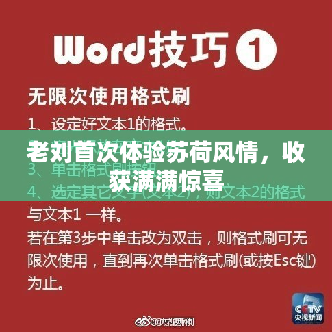 老刘首次体验苏荷风情，收获满满惊喜