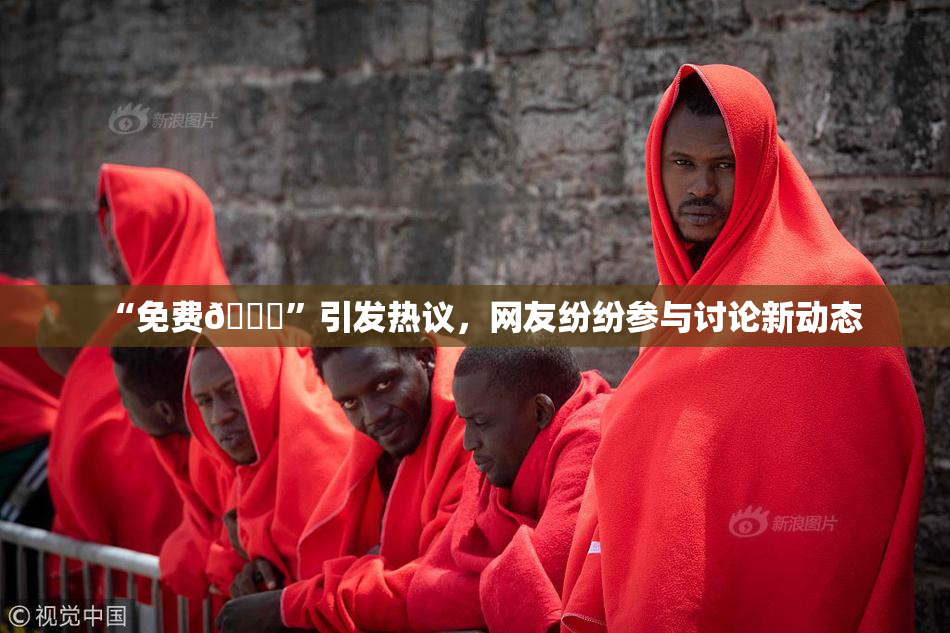 “免费🔞”引发热议，网友纷纷参与讨论新动态