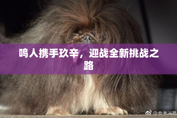 鸣人携手玖辛，迎战全新挑战之路
