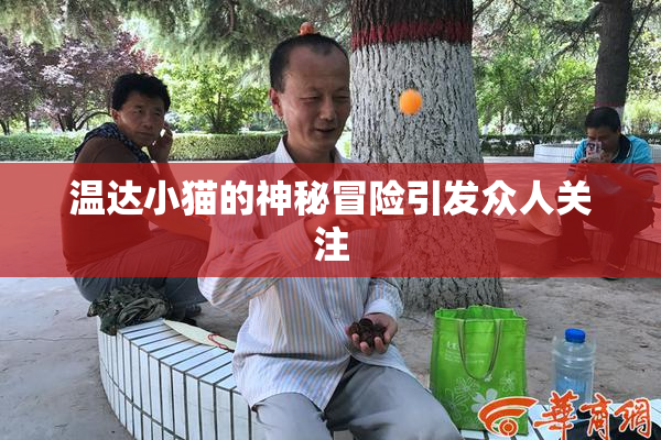 温达小猫的神秘冒险引发众人关注