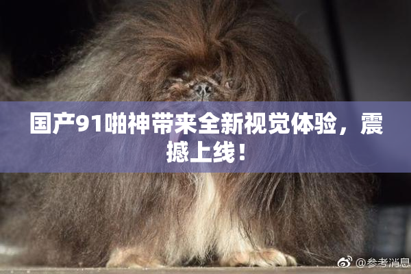 国产91啪神带来全新视觉体验，震撼上线！
