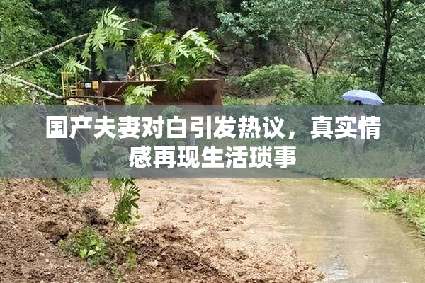 国产夫妻对白引发热议，真实情感再现生活琐事