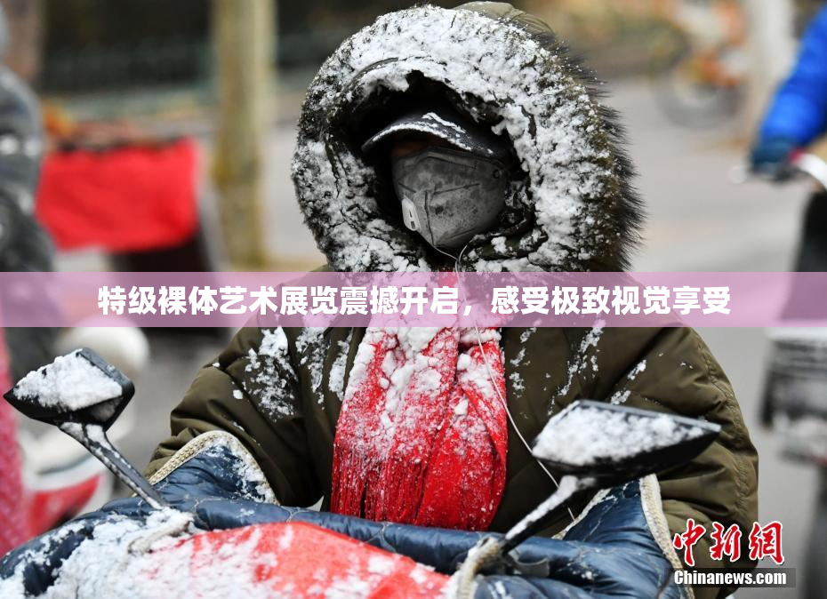 特级裸体艺术展览震撼开启，感受极致视觉享受