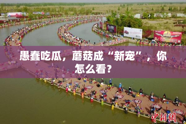 愚蠢吃瓜，蘑菇成“新宠”，你怎么看？