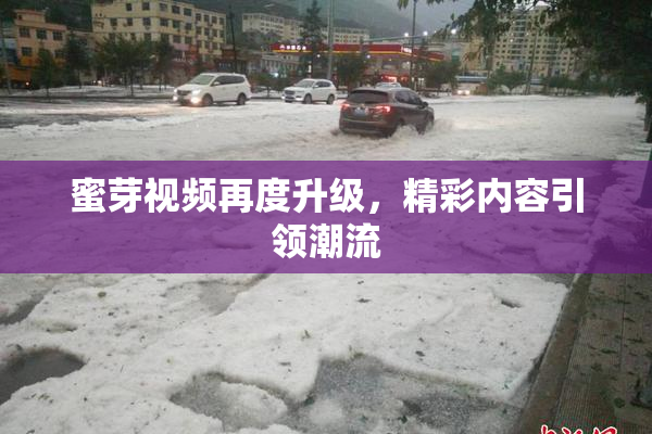 蜜芽视频再度升级，精彩内容引领潮流
