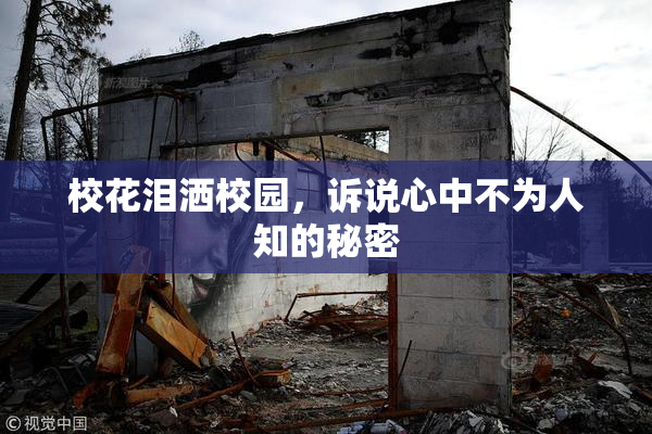 校花泪洒校园，诉说心中不为人知的秘密