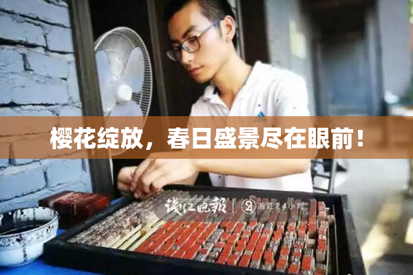 樱花绽放，春日盛景尽在眼前！