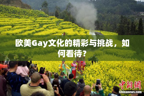 欧美Gay文化的精彩与挑战，如何看待？