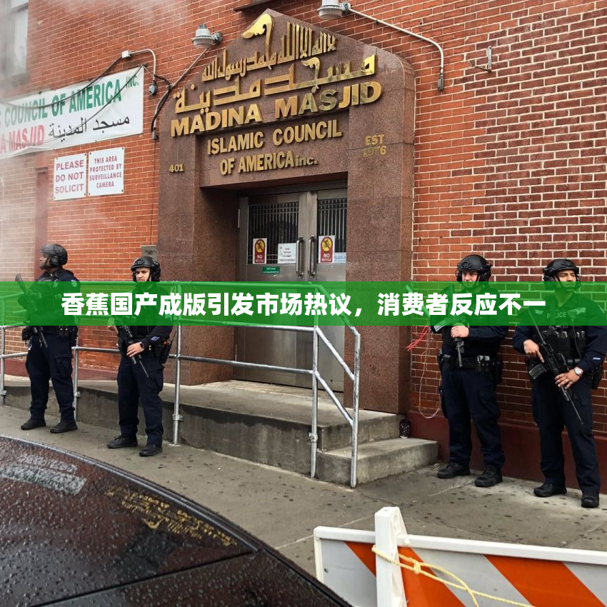 香蕉国产成版引发市场热议，消费者反应不一