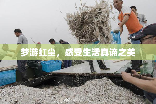 梦游红尘，感受生活真谛之美