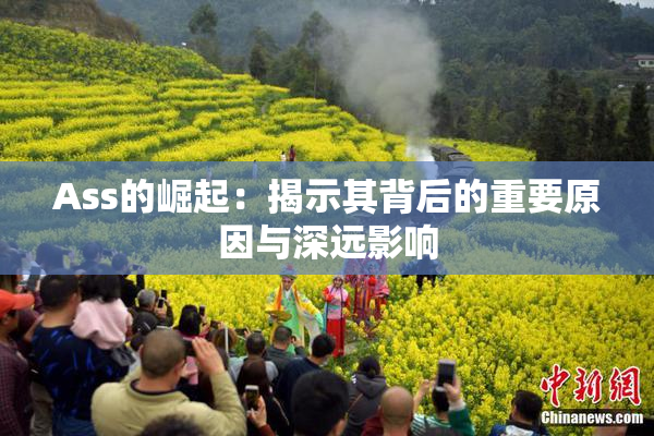 Ass的崛起：揭示其背后的重要原因与深远影响