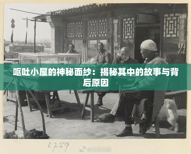 呕吐小屋的神秘面纱：揭秘其中的故事与背后原因