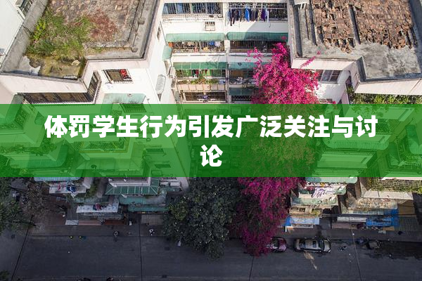 体罚学生行为引发广泛关注与讨论
